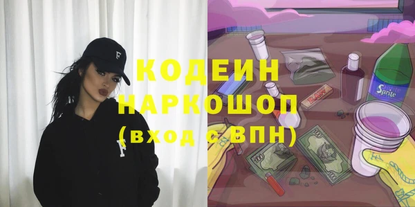 прущий лед Богданович