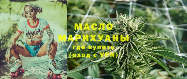 прущий лед Богданович