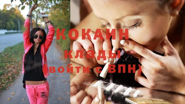 прущий лед Богданович