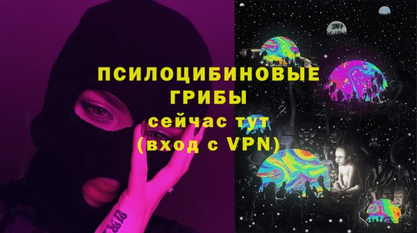 соль курить ск Богородицк