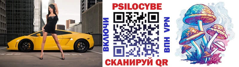 Псилоцибиновые грибы Psilocybine cubensis нарко площадка формула Называевск